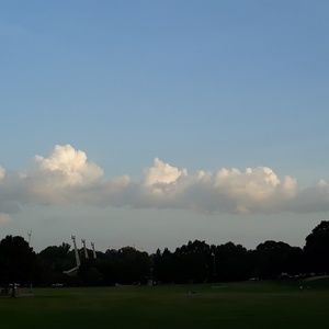 Meet your Posher, Denisse